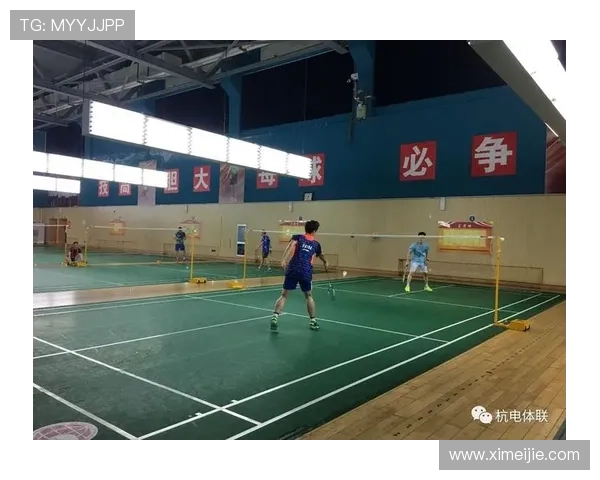 南京羽毛球队运营体系解析与战术策略探讨