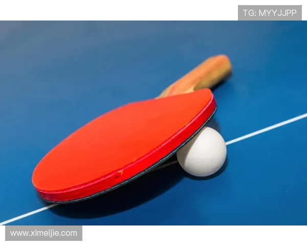 武汉乒乓球队耐力训练的秘密与挑战探索