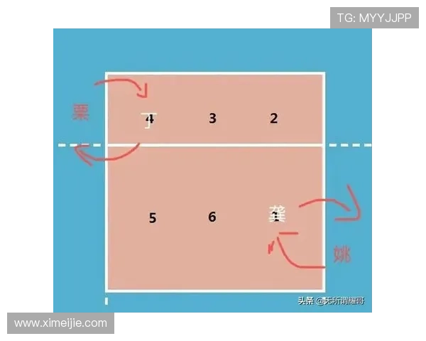 武汉排球队在排球战术排行榜中荣获第八名的辉煌成就分析